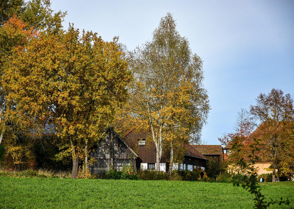 Préparer votre maison à l'automne : conseils pratiques