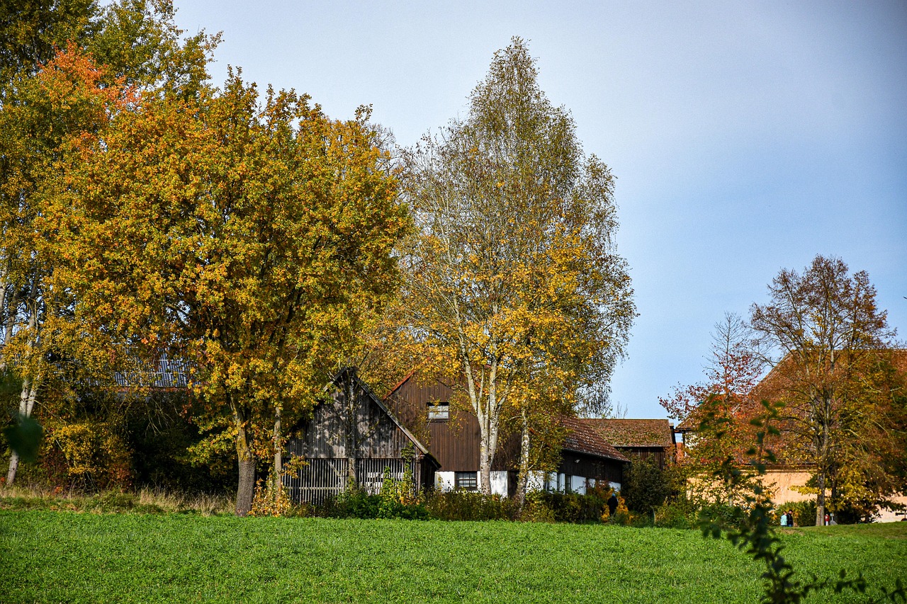 Préparer votre maison à l'automne : conseils pratiques