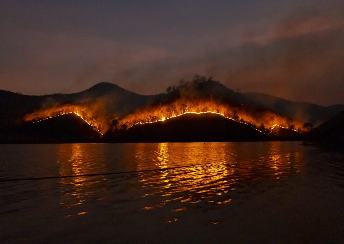 Incendies : Comment bénéficier de l'aide prolongée pour votre entreprise ?