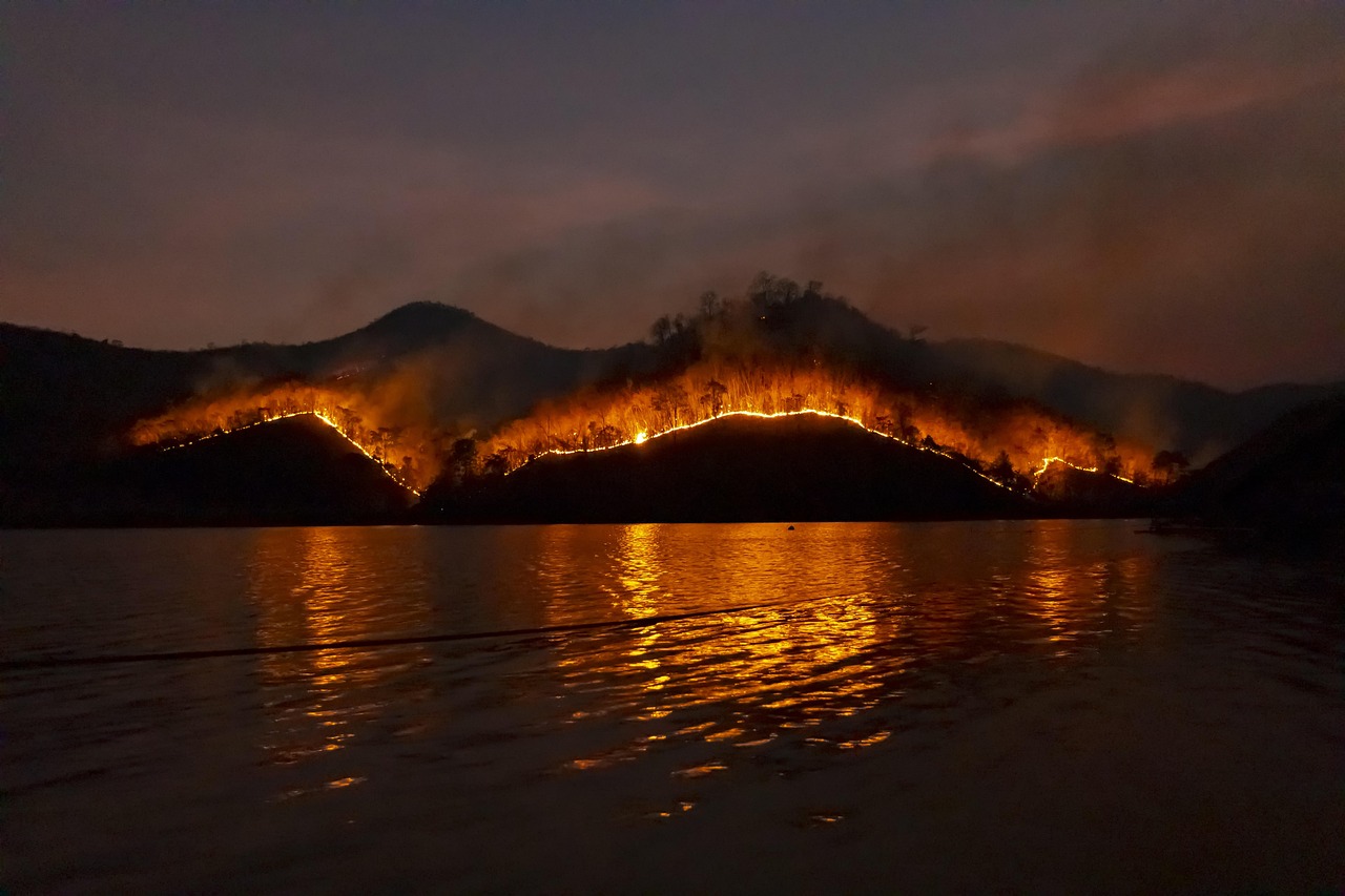 Incendies : Comment bénéficier de l'aide prolongée pour votre entreprise ?