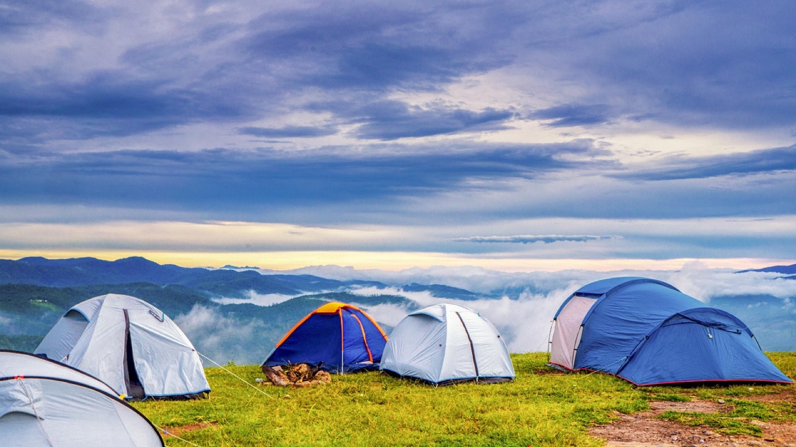 Tentes de camping installées dans un champ pendant un festival